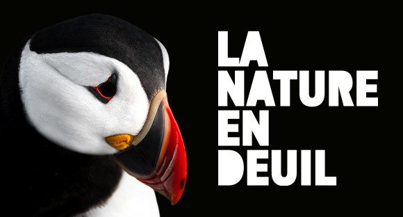 La nature est en deuil